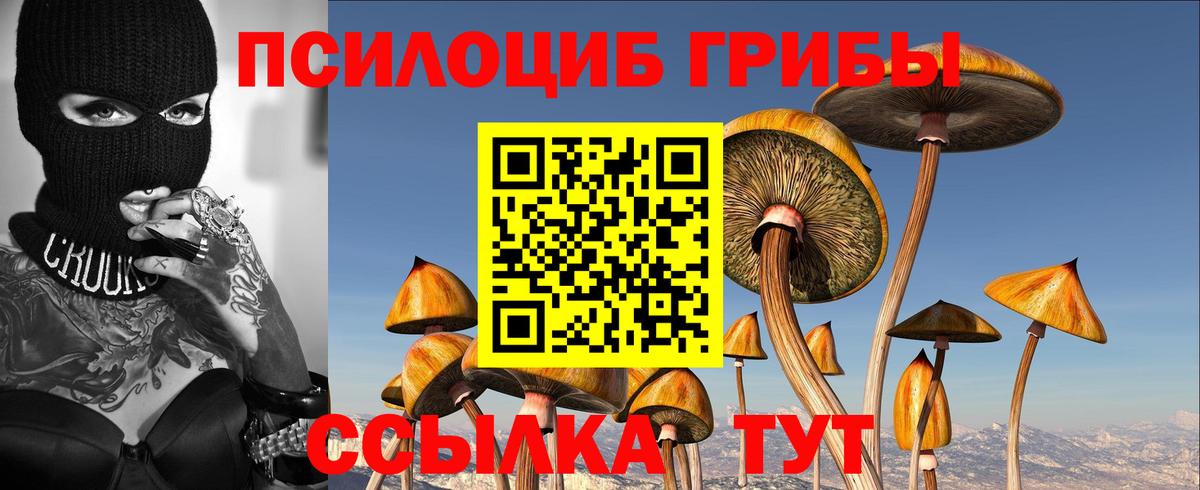 Псилоцибиновые грибы ЛСД Звенигород