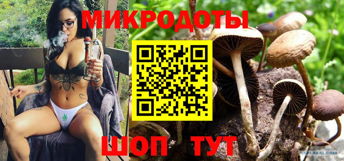 Псилоцибиновые грибы MAGIC MUSHROOMS  Вход с VPN  Звенигород 